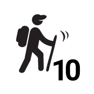 Hunyadi gyalogos 10