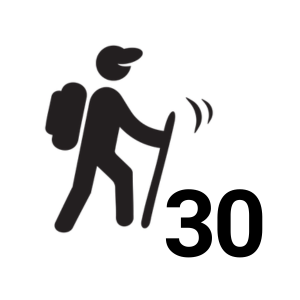 Hunyadi gyalogos 30