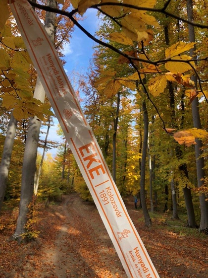 A 24-dik órában szalagoztuk ki az útvonalakat, ezért nem jutott idő minden szakaszra